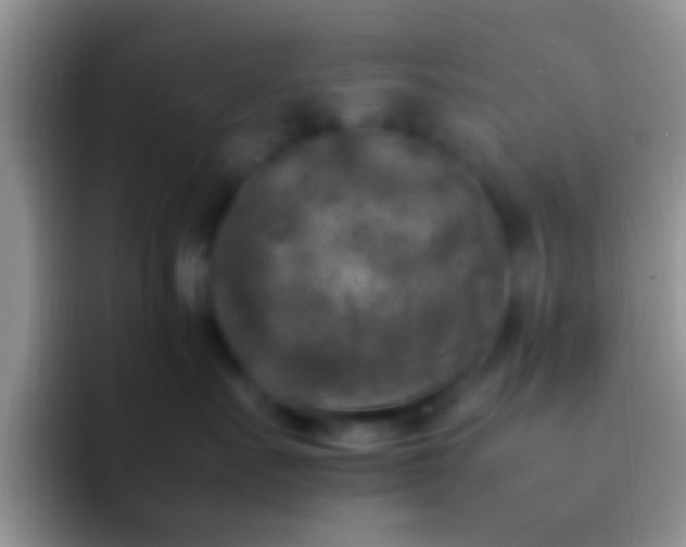 X0000092090527200709262125