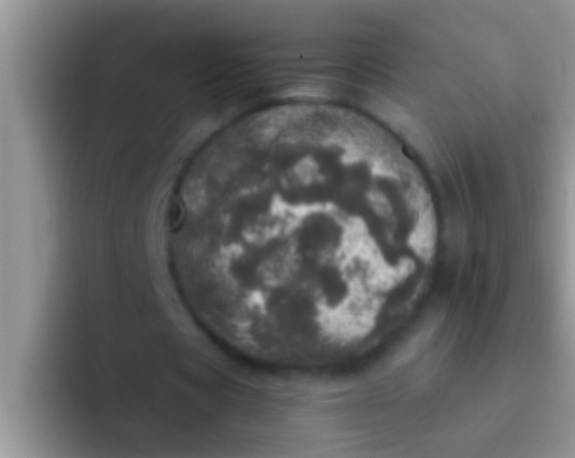 X0000092090529200709262125