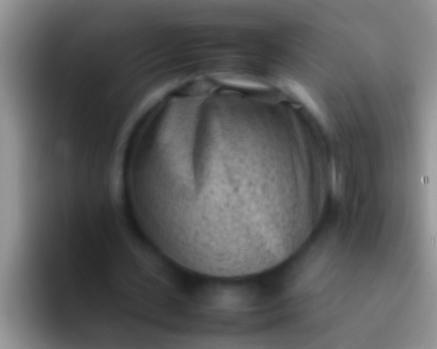X0000092090531200709262125