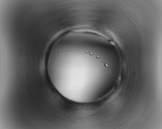 X0000092090532200709262125