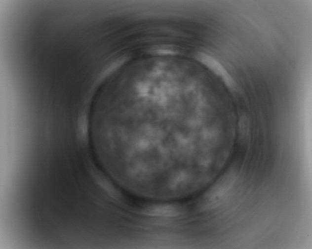 X0000092090533200709262125