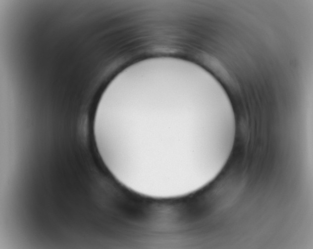 X0000092090534200709262125