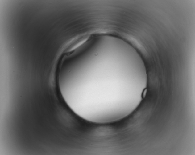 X0000092090536200709262125