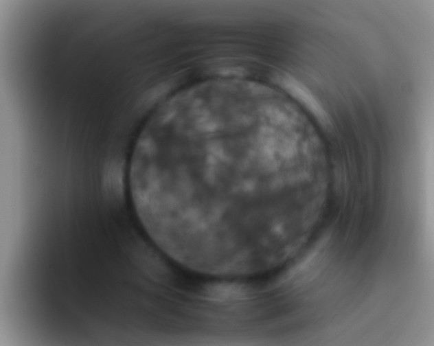 X0000092090537200709262125