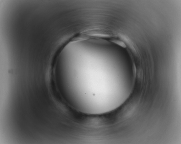 X0000092090540200709262125
