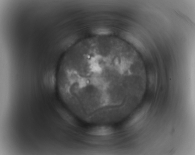 X0000092090541200709262125