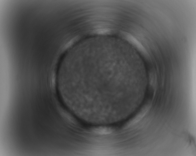 X0000092090542200709262125
