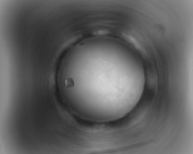X0000092090543200709262125