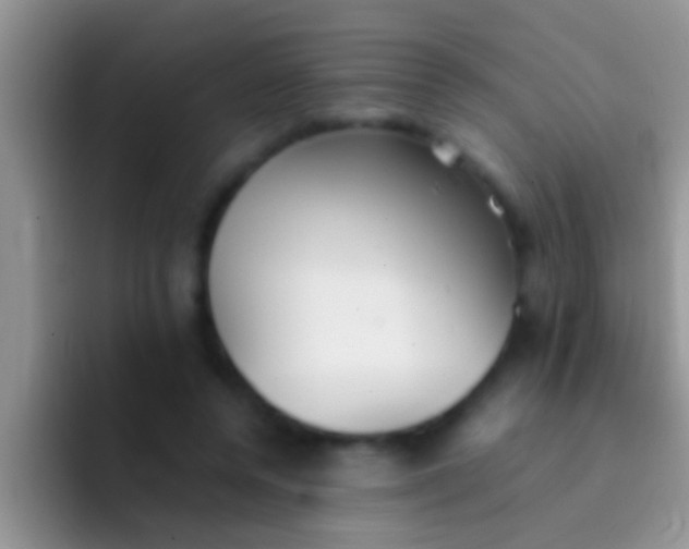 X0000092090544200709262125