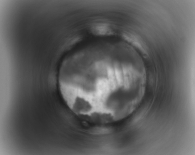X0000092090545200709262125