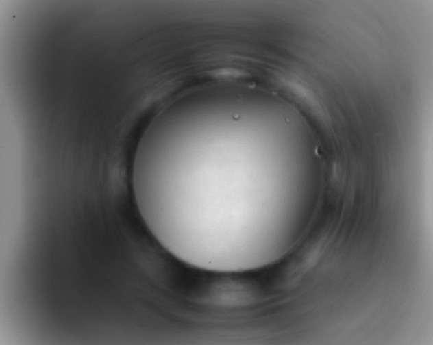 X0000092090547200709262125