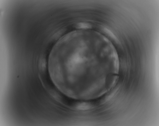 X0000092090549200709262125