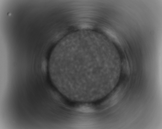 X0000092090550200709262125
