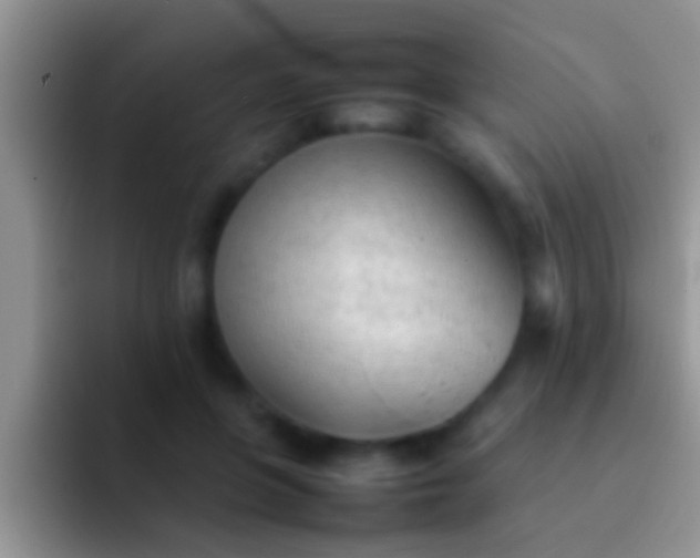 X0000092090551200709262125
