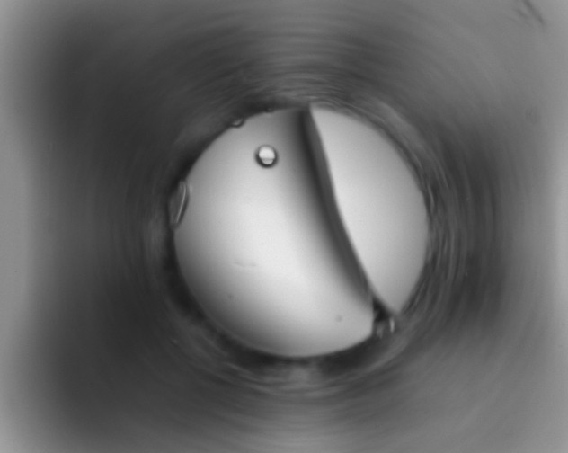 X0000092090552200709262125