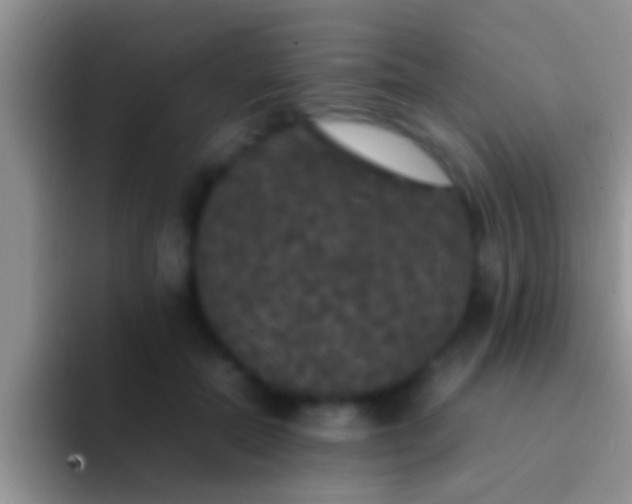 X0000092090554200709262125