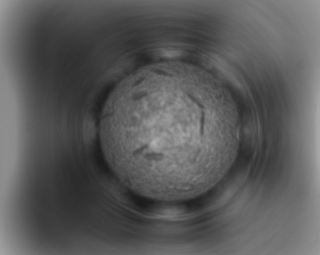 X0000092090555200709262125