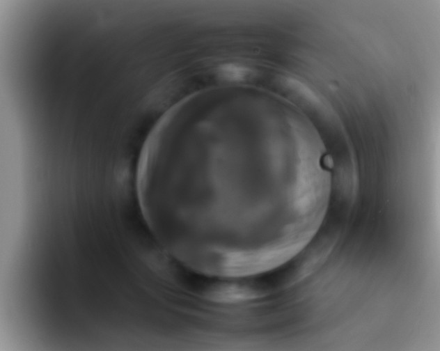 X0000092090557200709262125