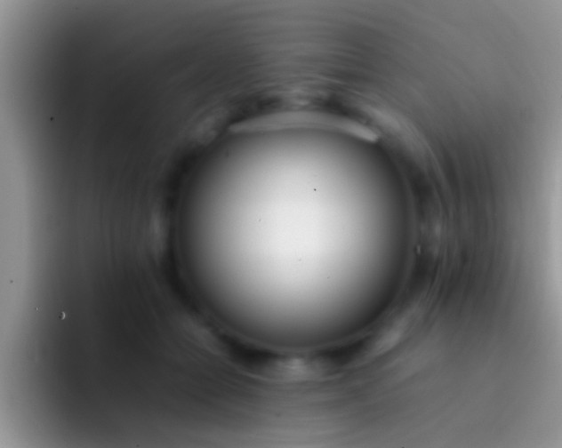 X0000092090558200709262125