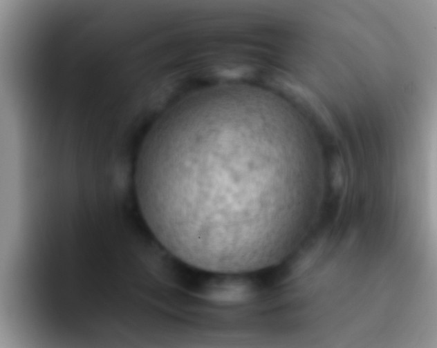 X0000092090559200709262125