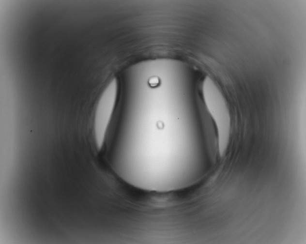 X0000092090560200709262125