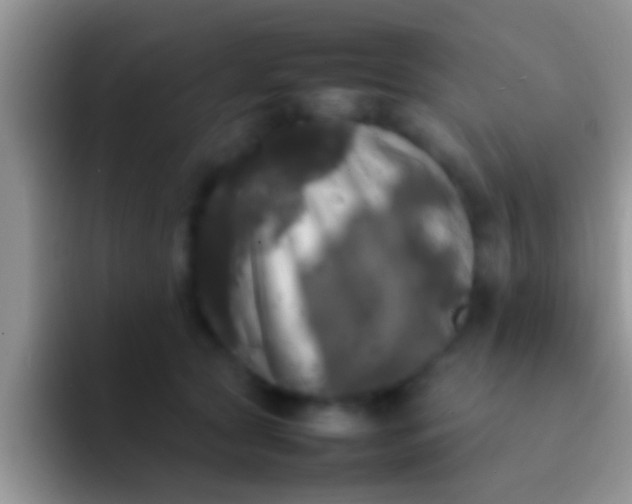 X0000092090561200709262125