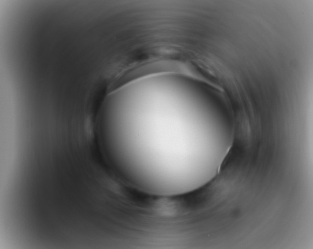 X0000092090562200709262125