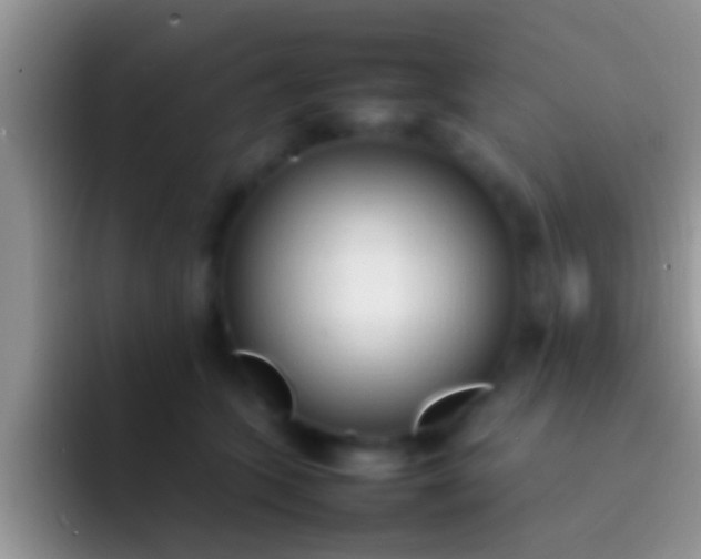 X0000092090563200709262125