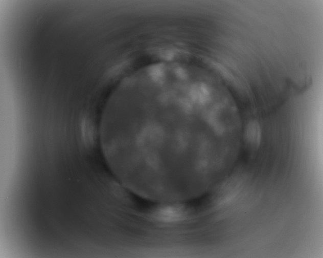 X0000092090569200709262125