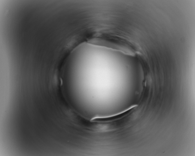 X0000092090570200709262125