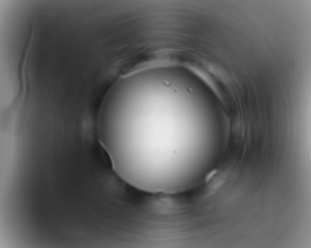 X0000092090572200709262125