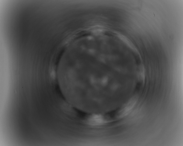 X0000092090573200709262125