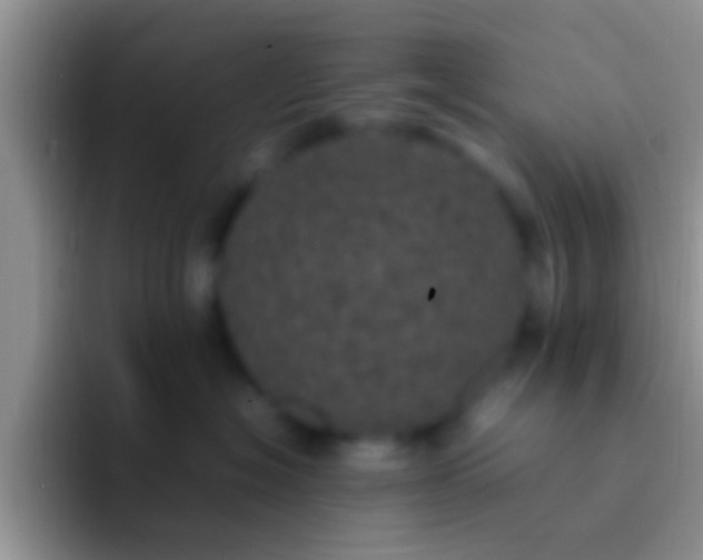 X0000092090574200709262125