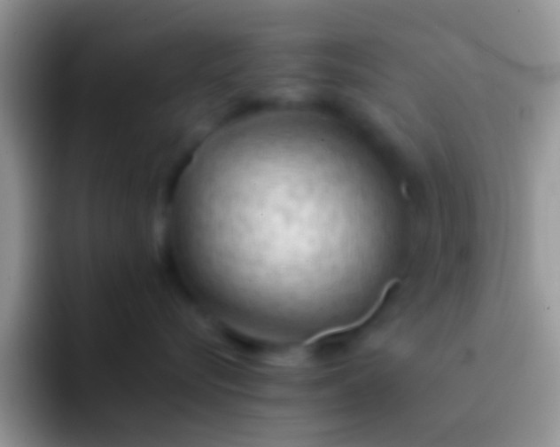 X0000092090576200709262125
