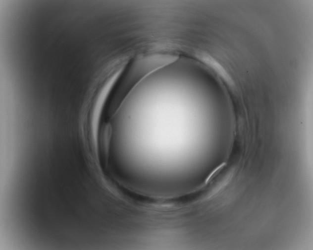 X0000092090581200709262125