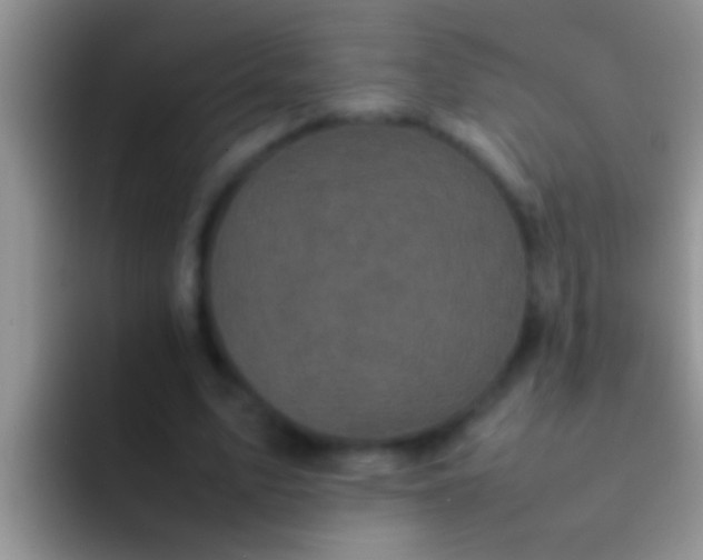 X0000092090583200709262125