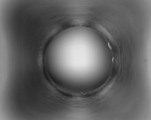 X0000092090585200709262125