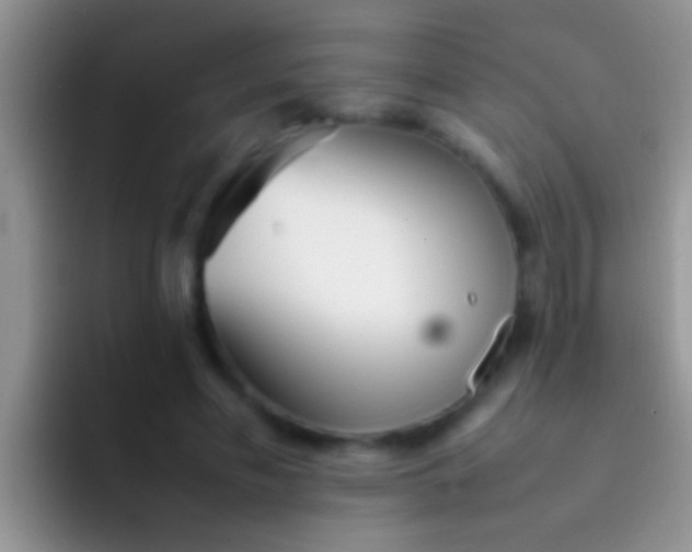 X0000092090589200709262124