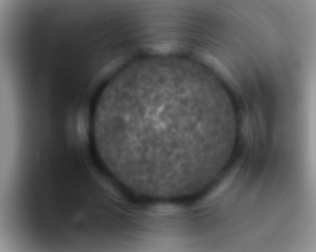 X0000092090590200709262124