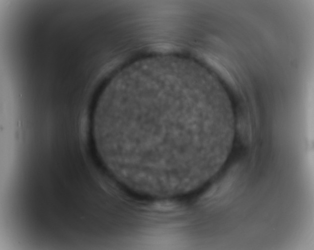 X0000092090591200709262124