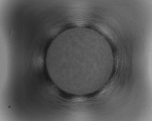 X0000092090595200709262124