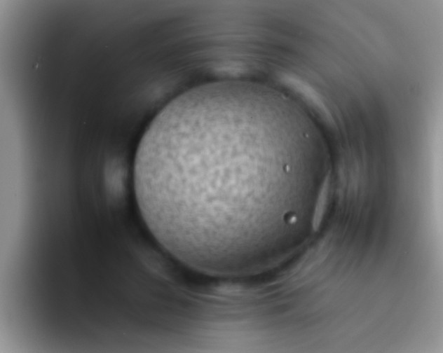 X0000092090596200709262124
