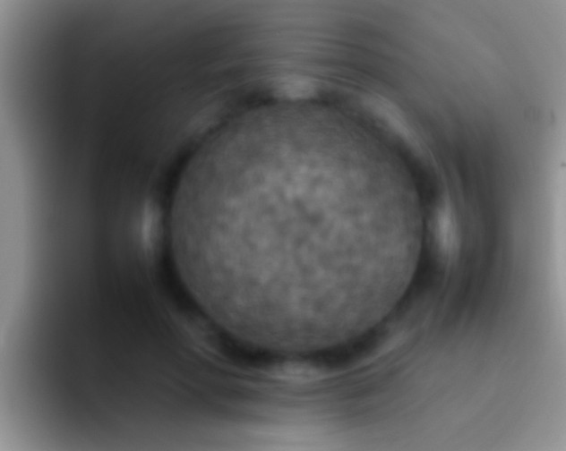 X0000092090598200709262124