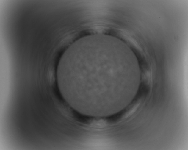 X0000092090599200709262124