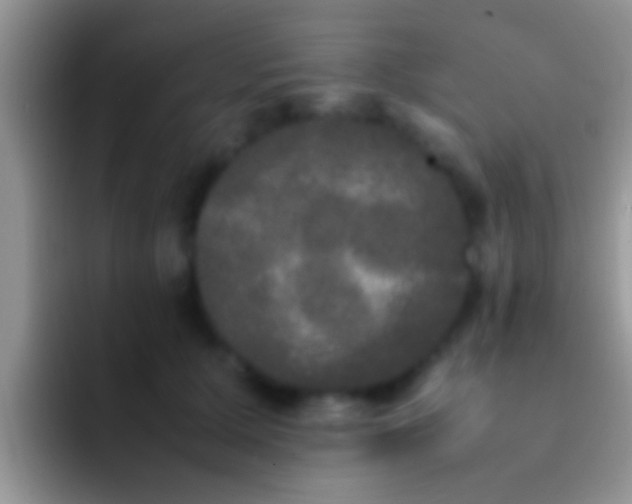 X0000092090607200709262124