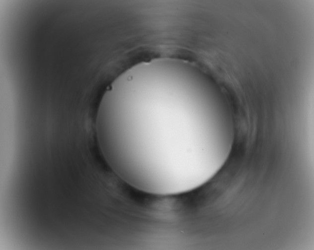 X0000092090609200709262124