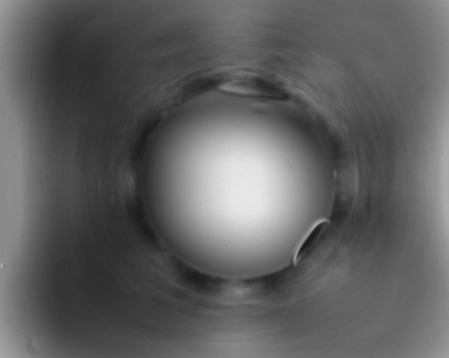 X0000092090613200709262124