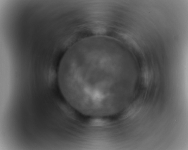 X0000092090614200709262124