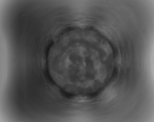 X0000092090615200709262124