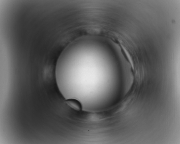 X0000092090616200709262124